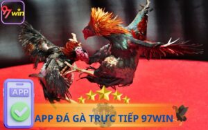 TẢI APP ĐÁ GÀ TRỰC TIẾP 97WIN