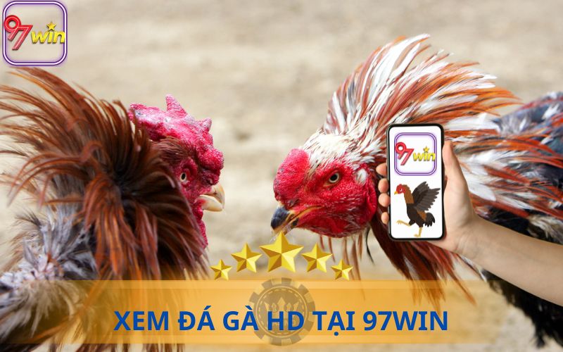 XEM ĐÁ GÀ HD TẠI 97WIN