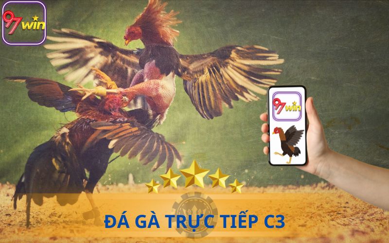 ĐÁ GÀ TRỰC TIẾP C3 TẠI 97WIN