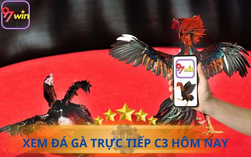 XEM ĐÁ GÀ TRỰC TIẾP C3 NGÀY HÔM NAY TẠI 97WIN