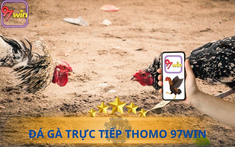 ĐÁ GÀ TRỰC TIẾP THOMO 97WIN