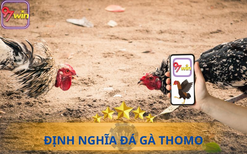 ĐỊNH NGĨA ĐÁ GÀ TRỰC TIẾP THOMO