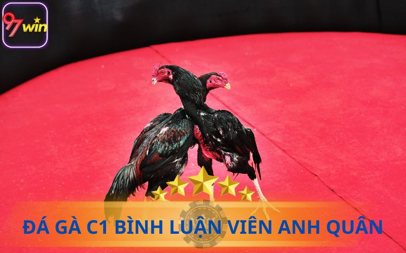 TRỰC TIẾP ĐÁ GÀ C1 TẠI 97WIN